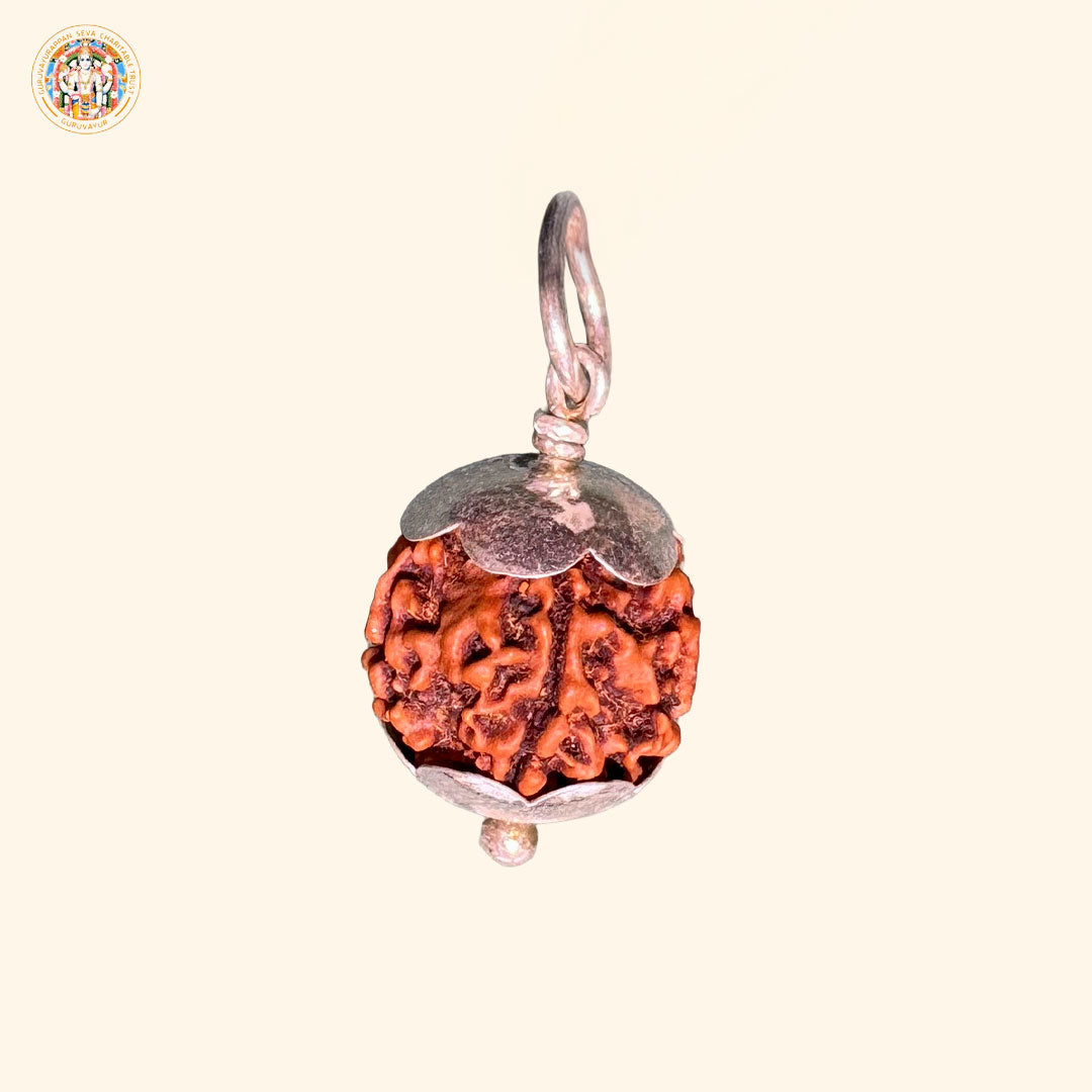 5 Mukhi Indian Rudraksha