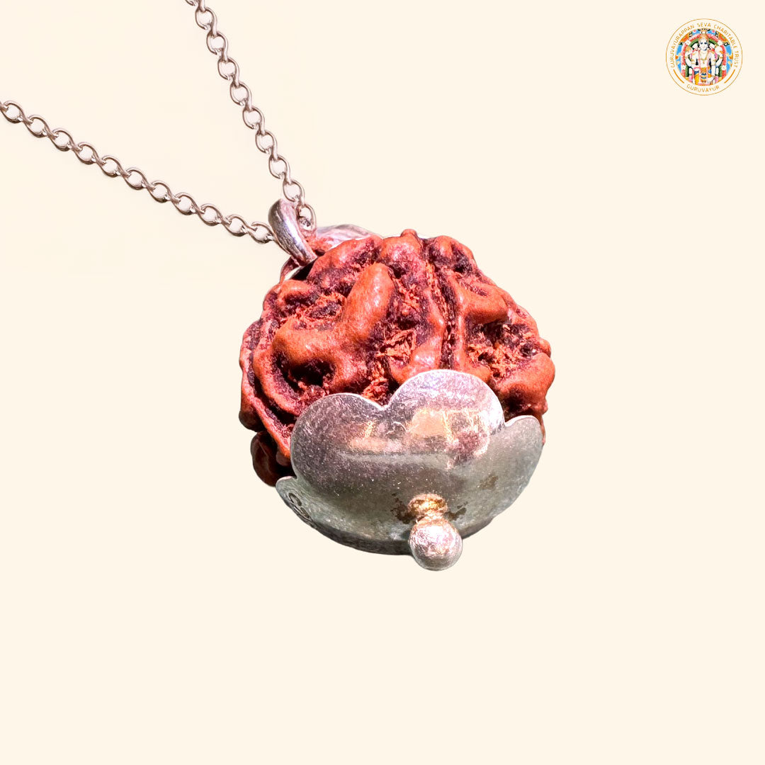 5 Mukhi Indian Rudraksha